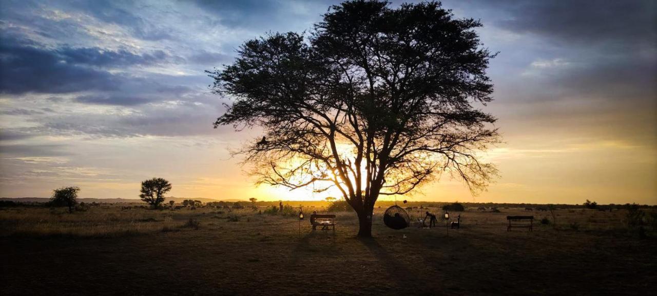 Hotel Zawadi Camp Serengeti-Savanne Exterior foto