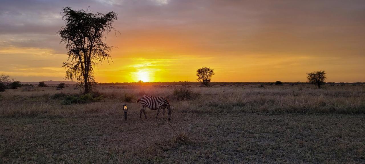 Hotel Zawadi Camp Serengeti-Savanne Exterior foto