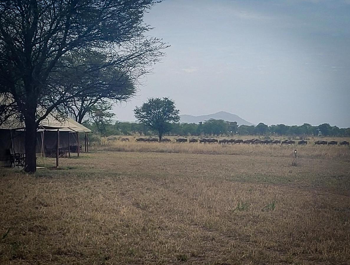 Hotel Zawadi Camp Serengeti-Savanne Exterior foto