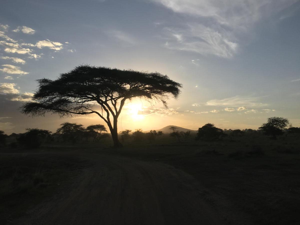 Hotel Zawadi Camp Serengeti-Savanne Exterior foto