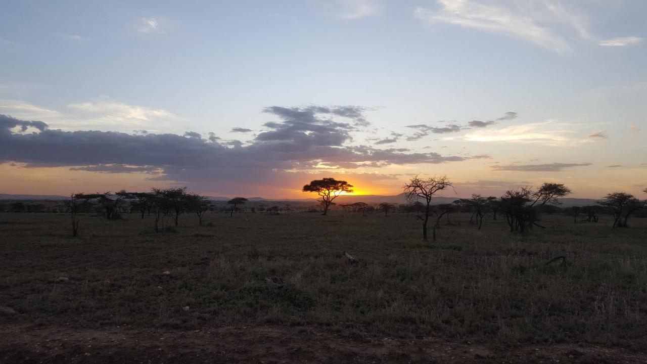 Hotel Zawadi Camp Serengeti-Savanne Exterior foto